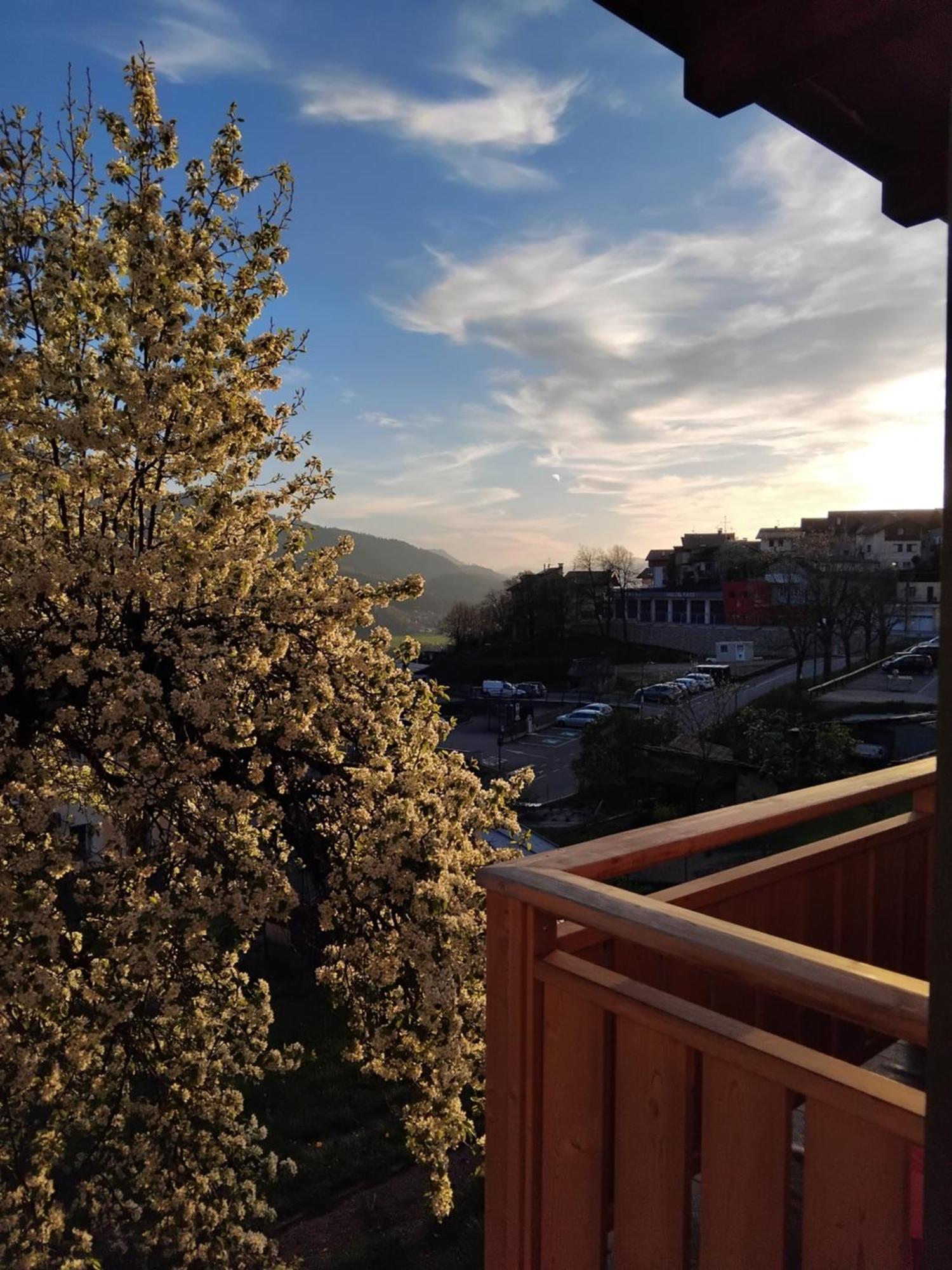 Casa Micei Διαμέρισμα Tesero Εξωτερικό φωτογραφία